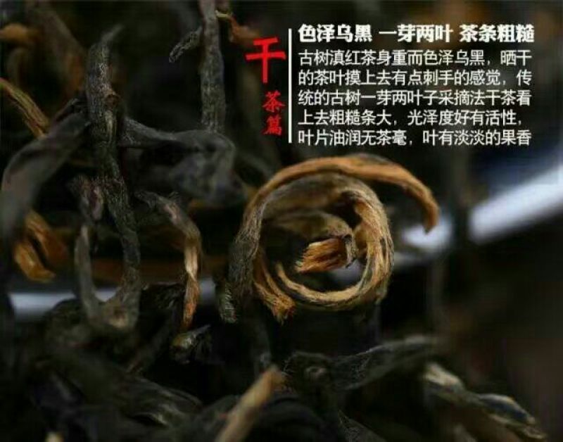 红茶大雪山古树红茶