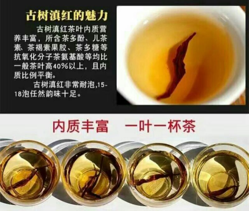 红茶大雪山古树红茶