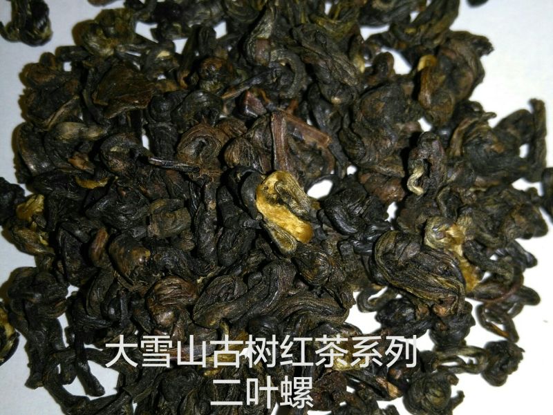 红茶大雪山古树红茶