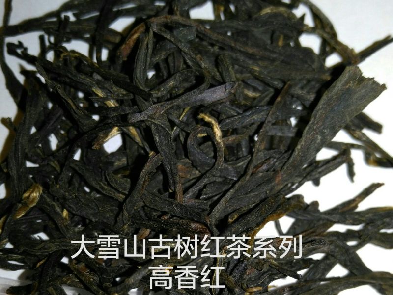 红茶大雪山古树红茶