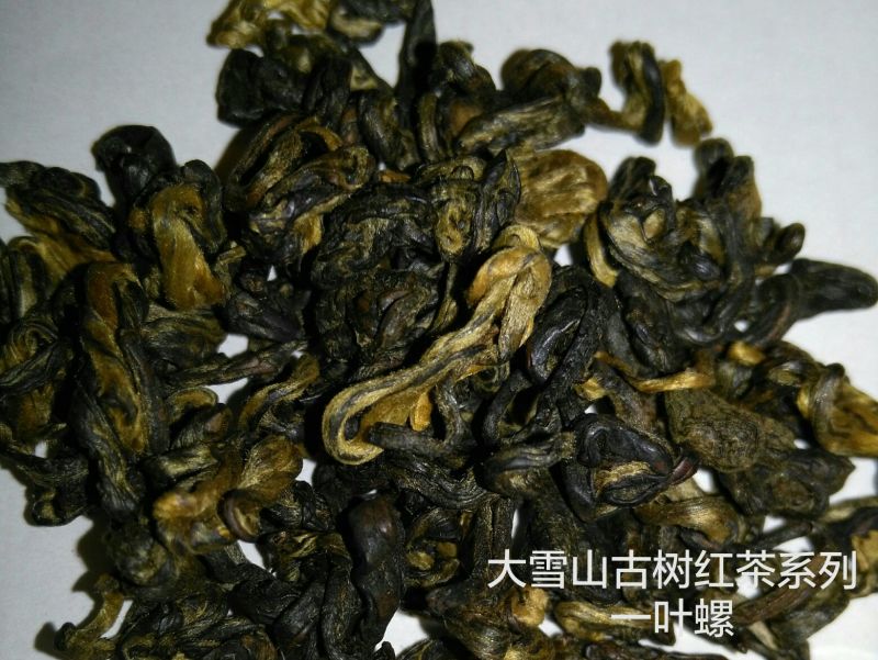 红茶大雪山古树红茶