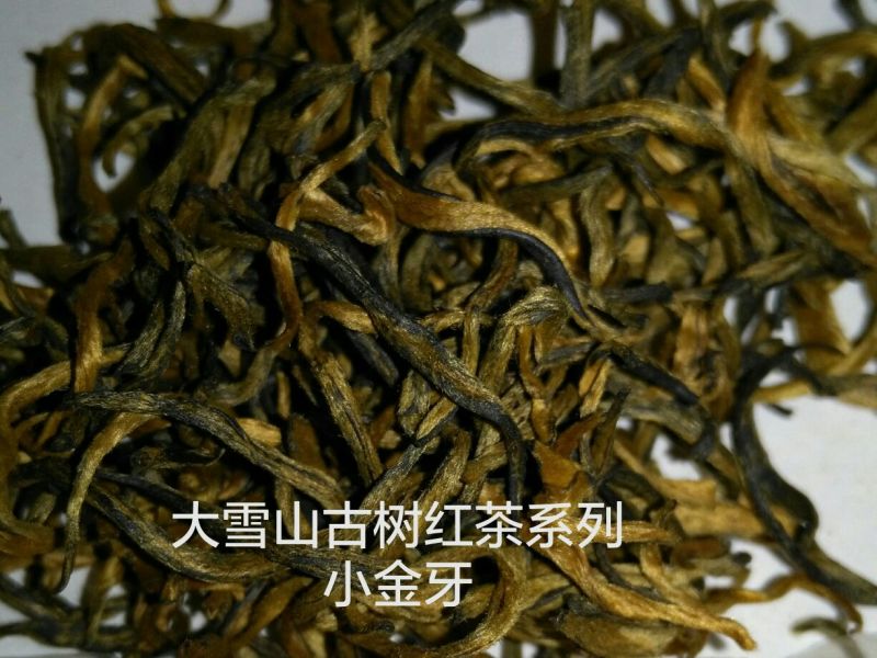 红茶大雪山古树红茶