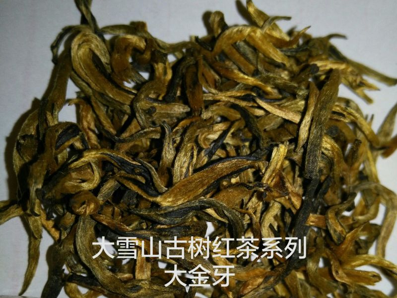 红茶大雪山古树红茶