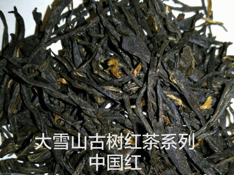 红茶大雪山古树红茶