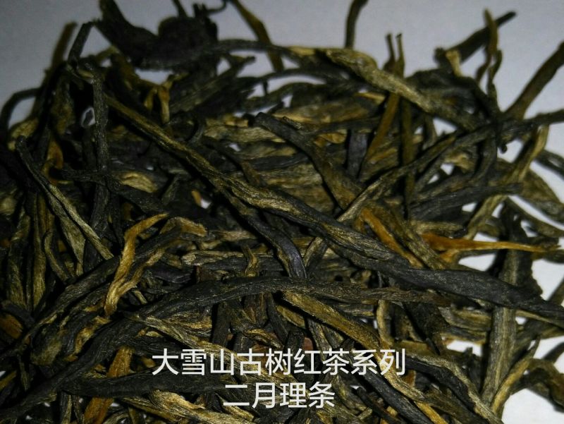 红茶大雪山古树红茶