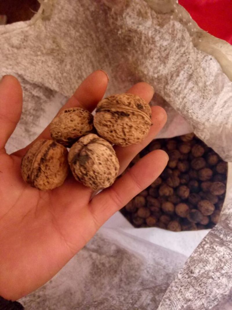 核桃仁原味
