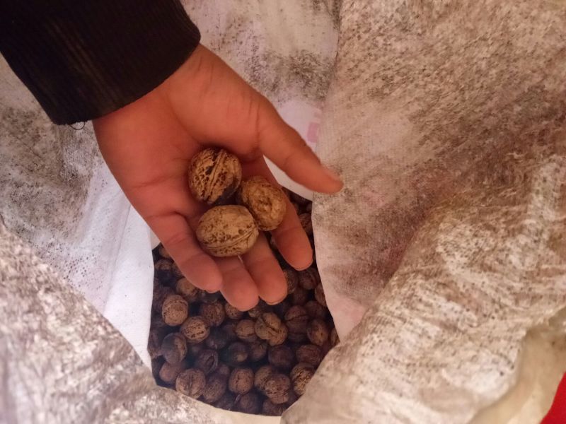 核桃仁原味