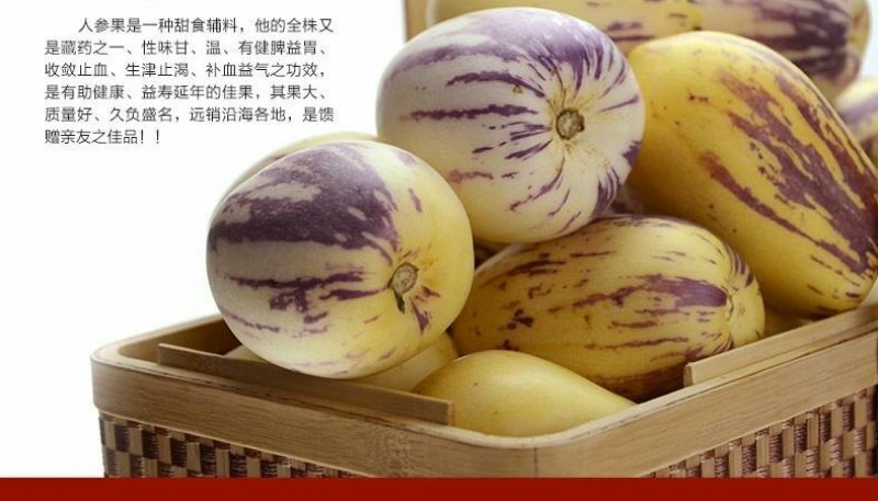 新鲜人参果现摘黄肉包邮包售后，现摘现发一件代发。