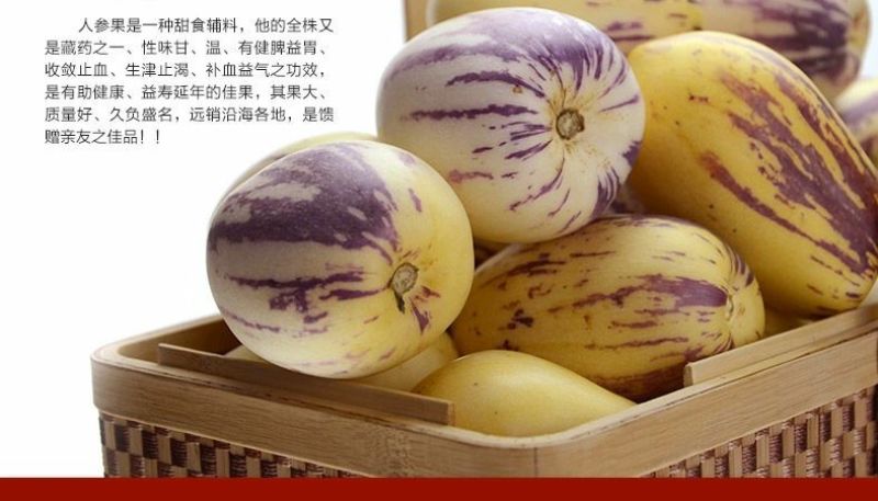 新鲜人参果现摘黄肉包邮包售后，现摘现发一件代发。