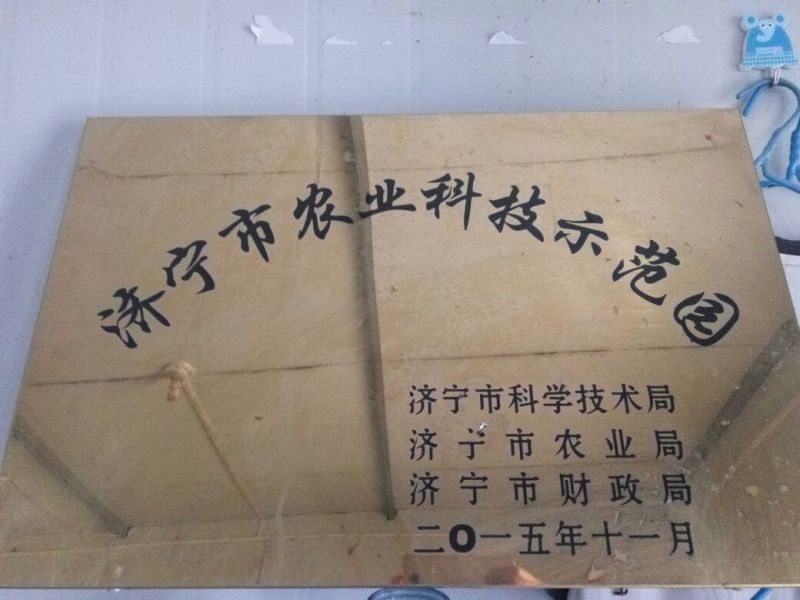 优质台湾大红，自粉，产量高，口感好，不裂果，当年可以结果