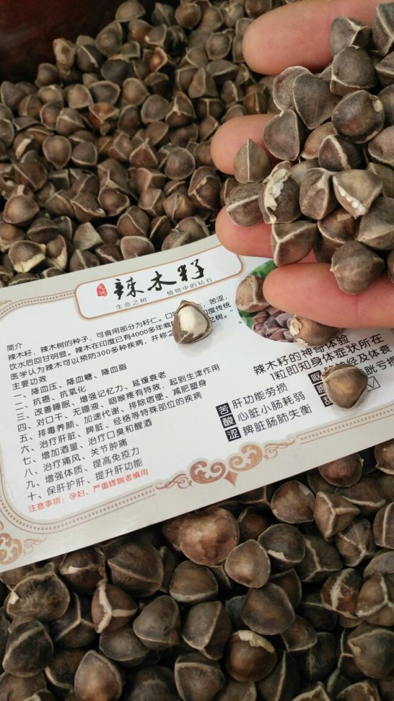 进口辣木籽500g包邮批发零售剥壳嚼着吃支持代发