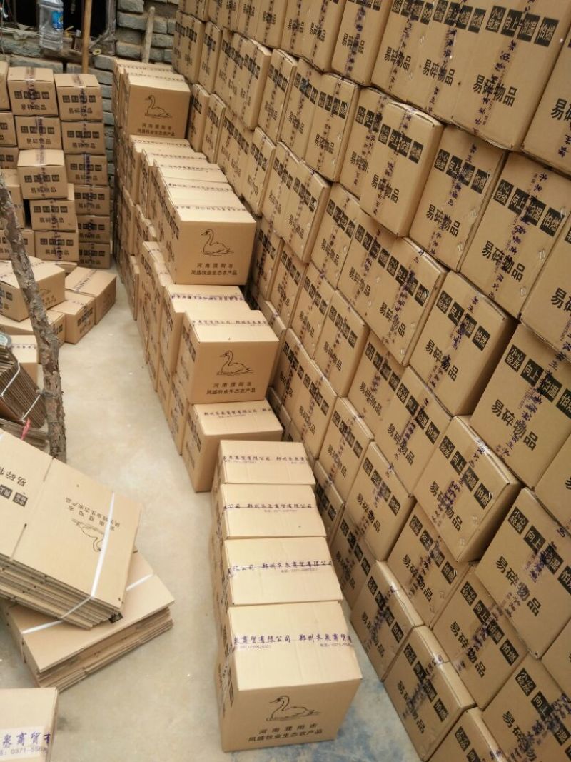 【鹅蛋】新鲜鹅蛋土鹅蛋孕妇去胎毒批发食用一件代发