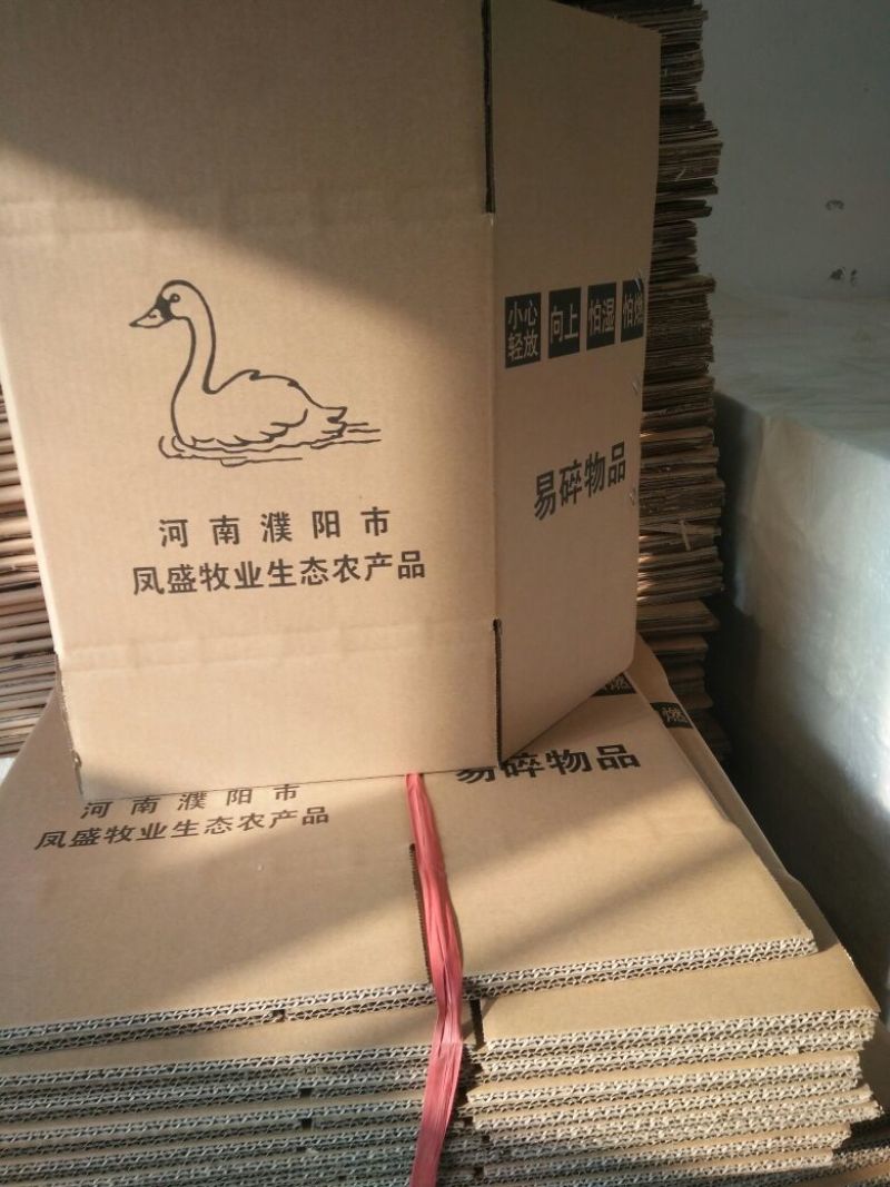 【鹅蛋】新鲜鹅蛋土鹅蛋孕妇去胎毒批发食用一件代发