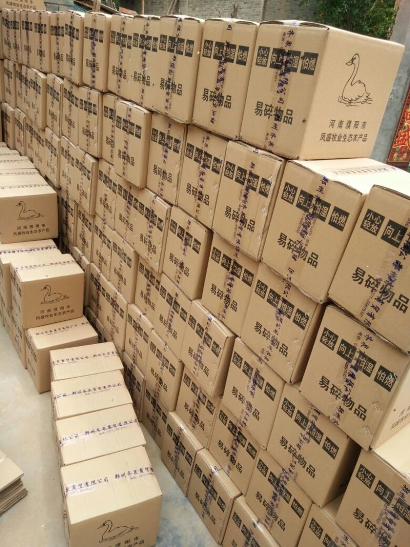 【鹅蛋】新鲜鹅蛋土鹅蛋孕妇去胎毒批发食用一件代发