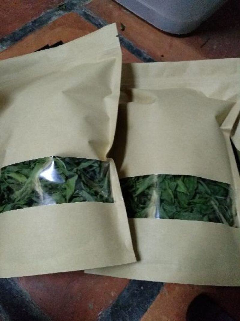忧遁草