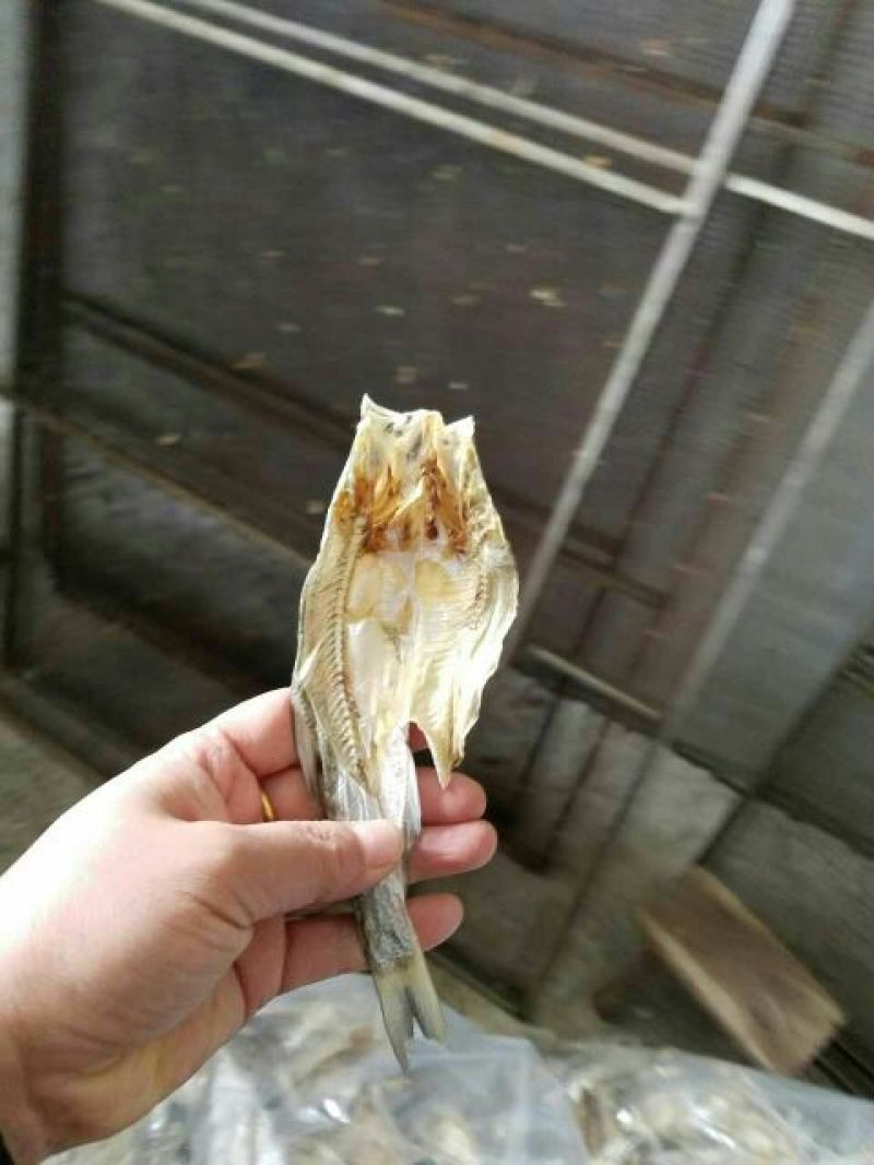 鱼干烤鱼干
