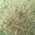 稻花香大米新米一级