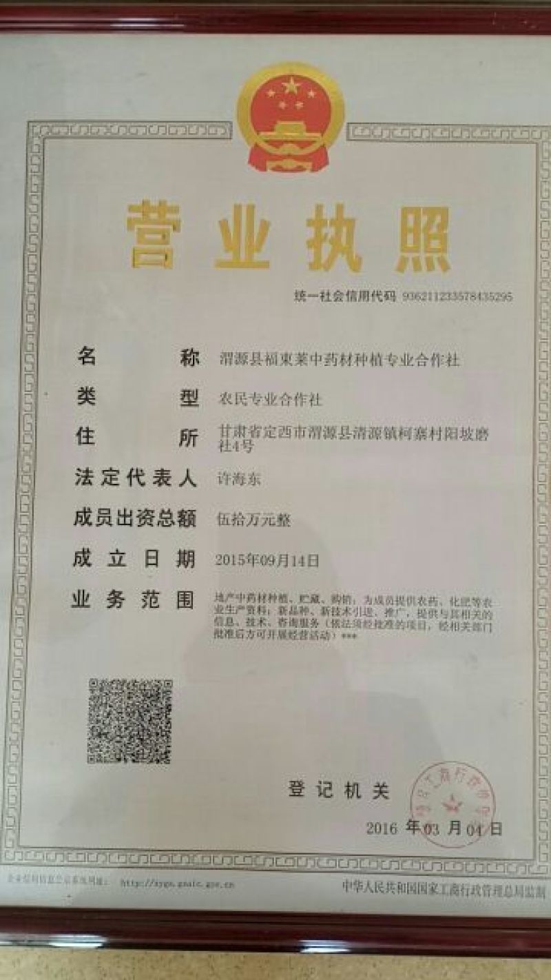 黄芪大条统货原装条子大中小分级