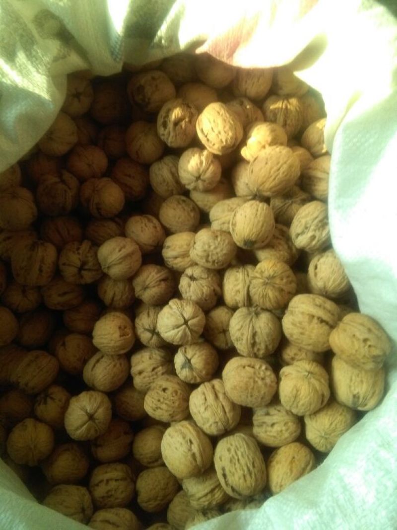 薄皮核桃去皮干