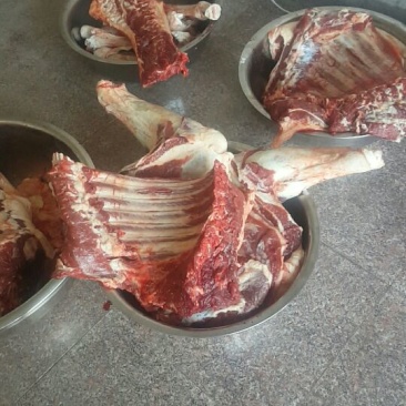 驴肉鲜货