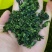 铁观音500克/盒特级高山茶包邮