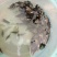 斑鳜食用活鱼30~40cm