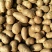 山药豆手拣5cm以下