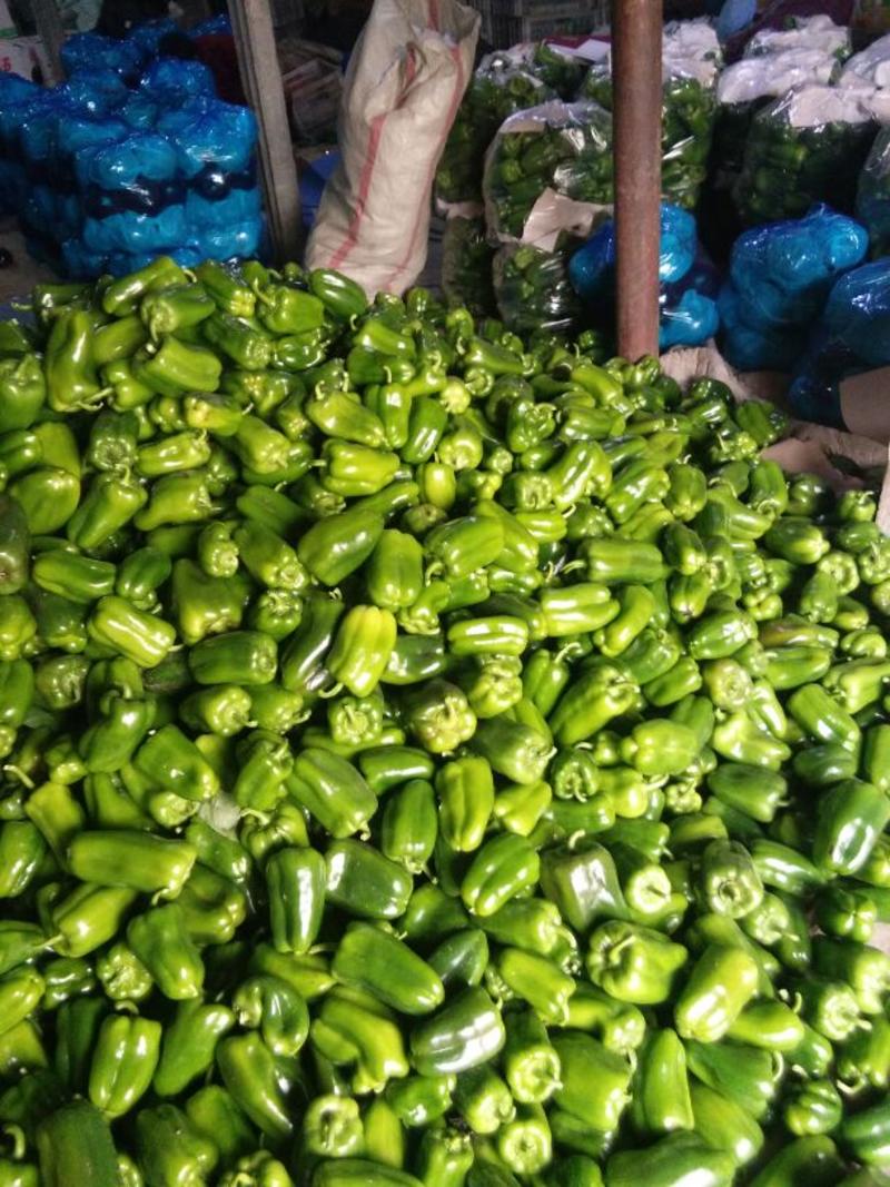 圆椒太空椒木红椒质量保证日走货量大专业代收对接全国