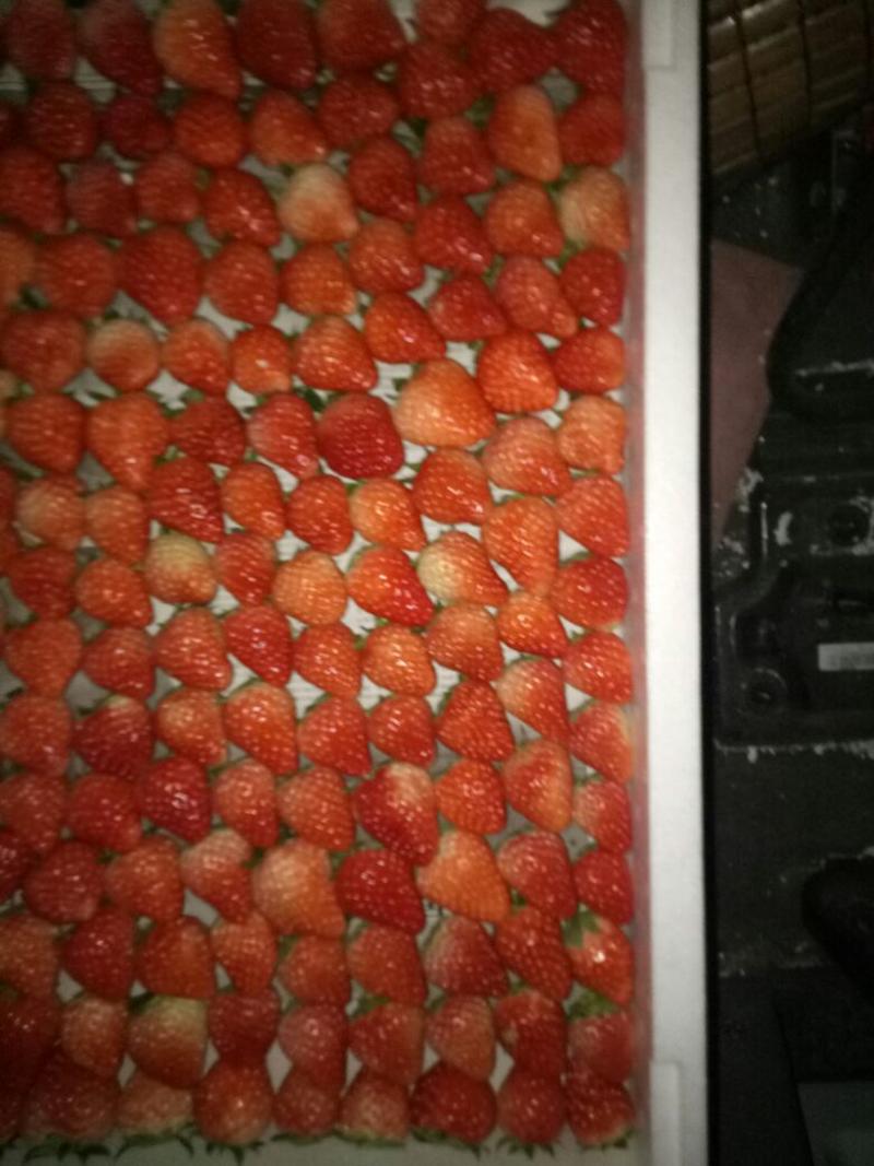 红颜草莓20克以下
