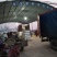 【精品韭菜】韭菜，韭菜花，韭菜苔，万亩韭菜产地直供！