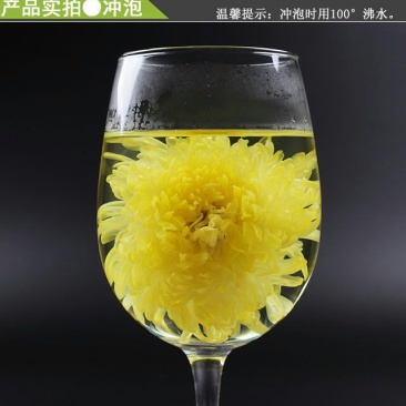 金丝皇菊茶特级