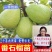 番石榴苗送生根粉