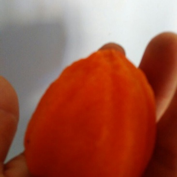 柿饼1~2两