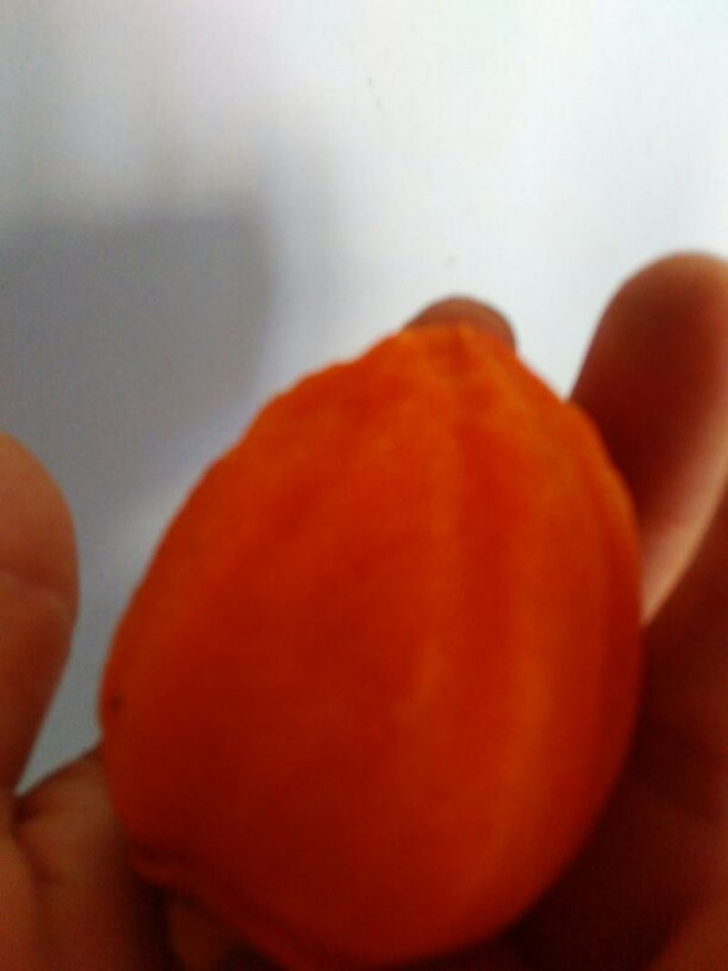柿饼1~2两