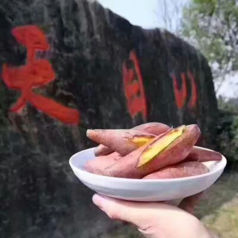天目小香薯1两以上商品薯红心地瓜小番薯黄心沙地红薯