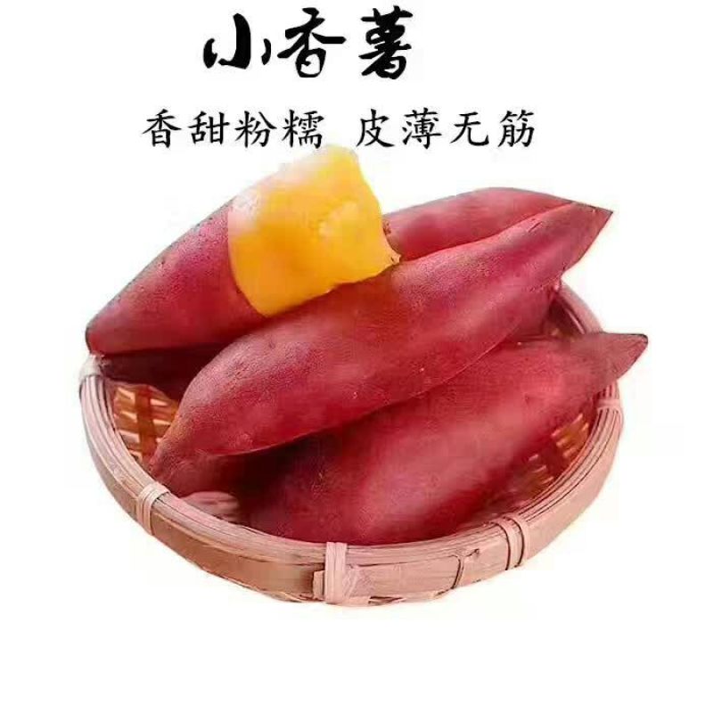 天目小香薯1两以上商品薯红心地瓜小番薯黄心沙地红薯