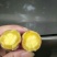 天目小香薯1两以上商品薯红心地瓜小番薯黄心沙地红薯