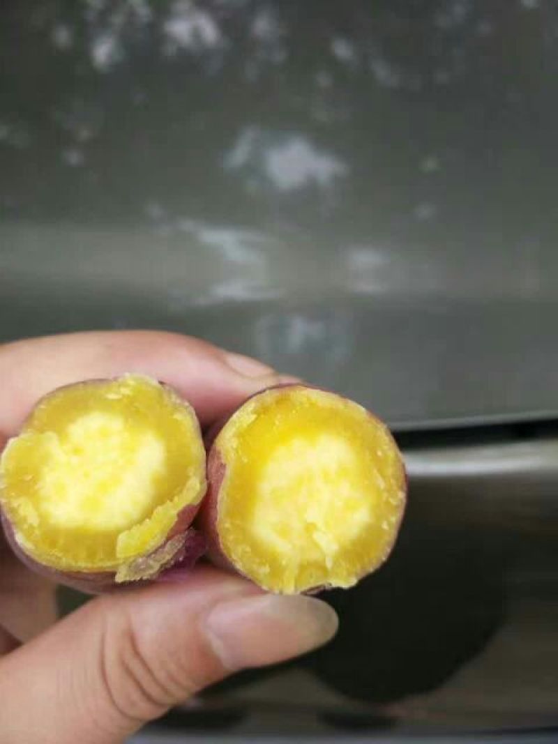 天目小香薯1两以上商品薯红心地瓜小番薯黄心沙地红薯