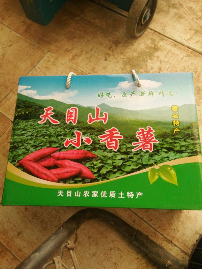 天目小香薯1两以上商品薯红心地瓜小番薯黄心沙地红薯