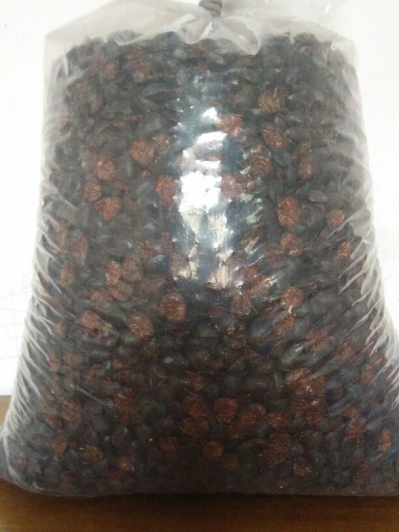 土元干品