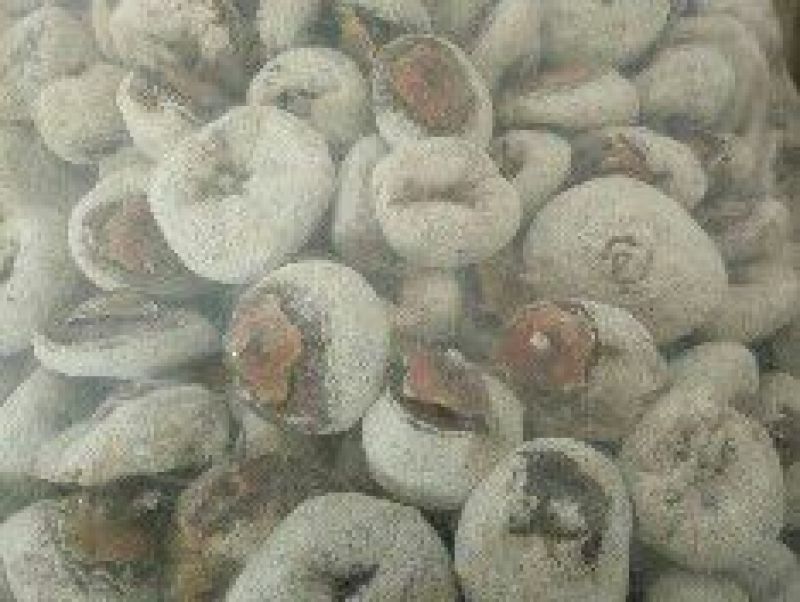 柿饼1~2两