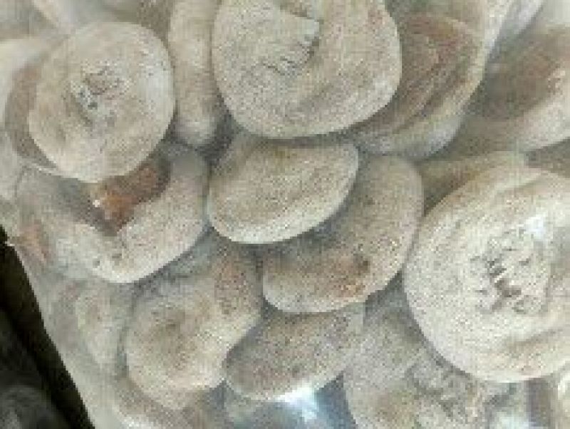 柿饼1~2两