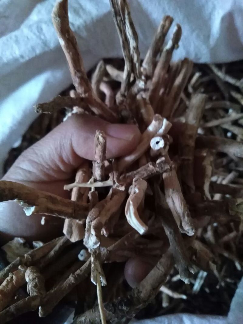 牡丹皮统货、手选大条毛丹、粉丹药厂货，商洛地产牡丹皮