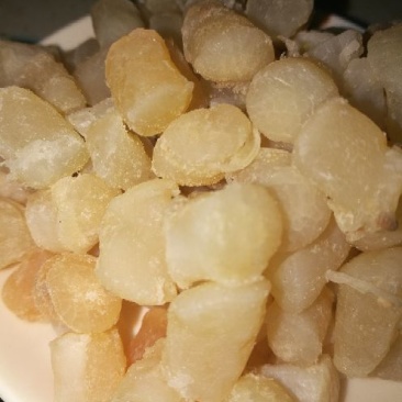 干瑶柱