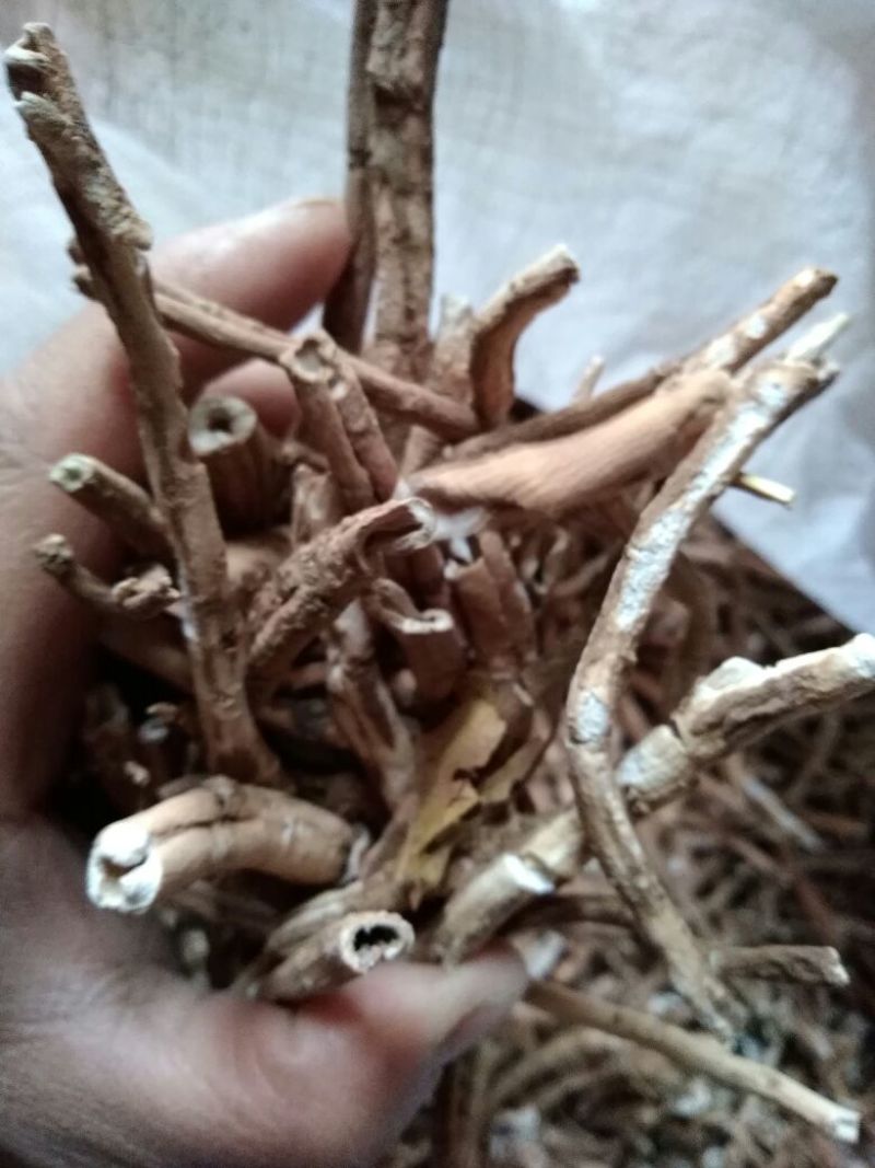 牡丹皮统货、手选大条毛丹、粉丹药厂货，商洛地产牡丹皮