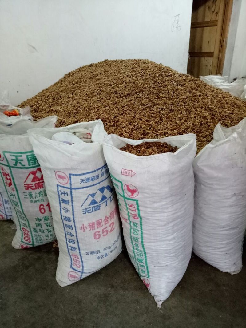 核桃仁原味