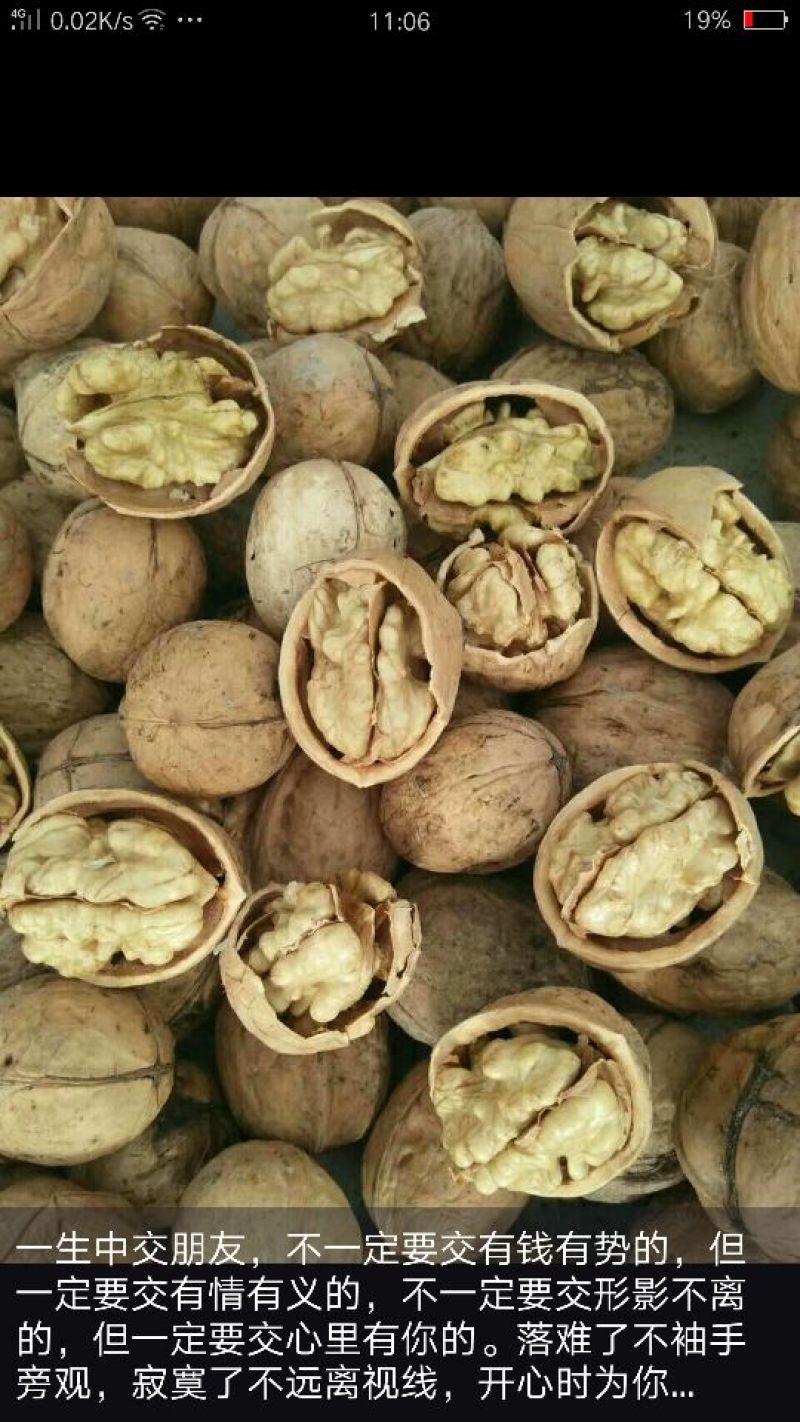 核桃仁原味