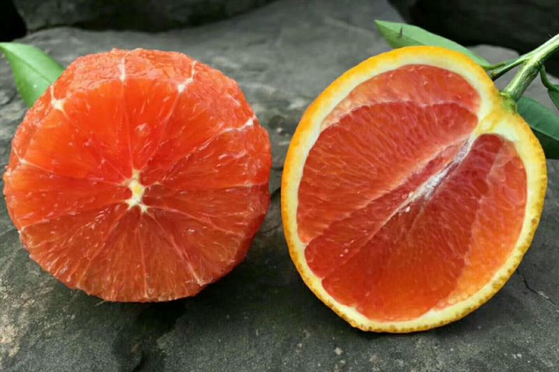 红橙血橙自产自供价格优惠保质保量