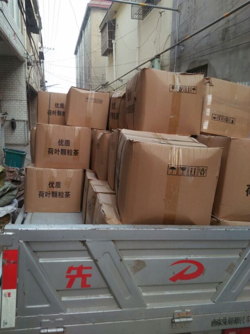 荷叶20cm以下选货