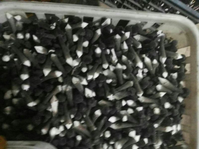 黑皮鸡枞